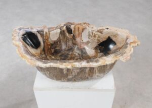 Bowl petrified wood 54279