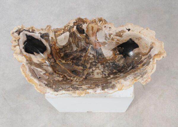 Bowl petrified wood 54279