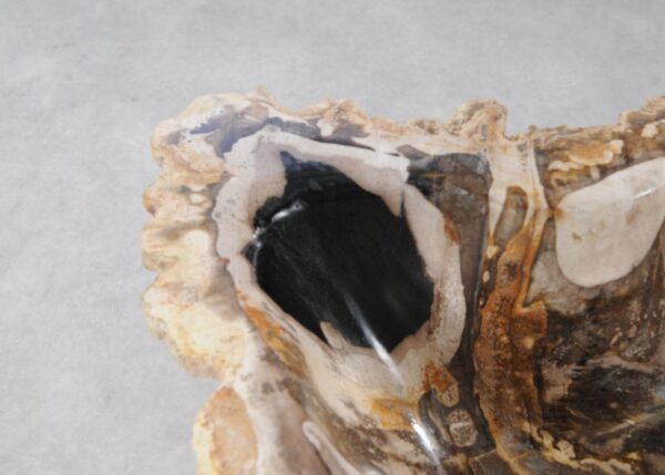 Bowl petrified wood 54279