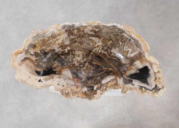 Bowl petrified wood 54279