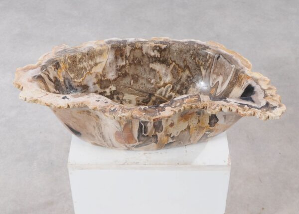 Bowl petrified wood 54279