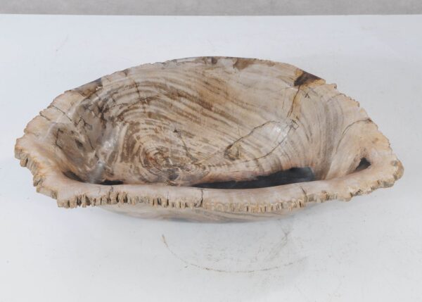 Bowl petrified wood 54280