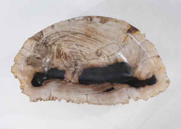 Bowl petrified wood 54280