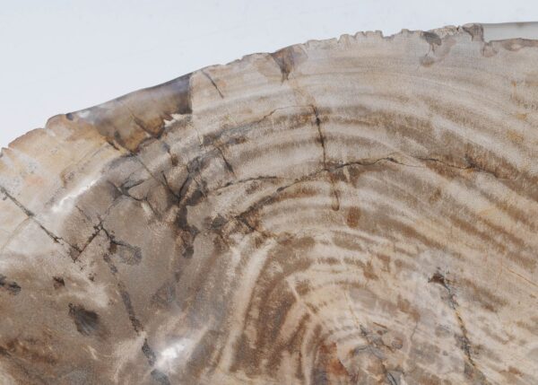 Bowl petrified wood 54280