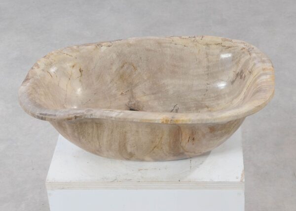 Bowl petrified wood 54282