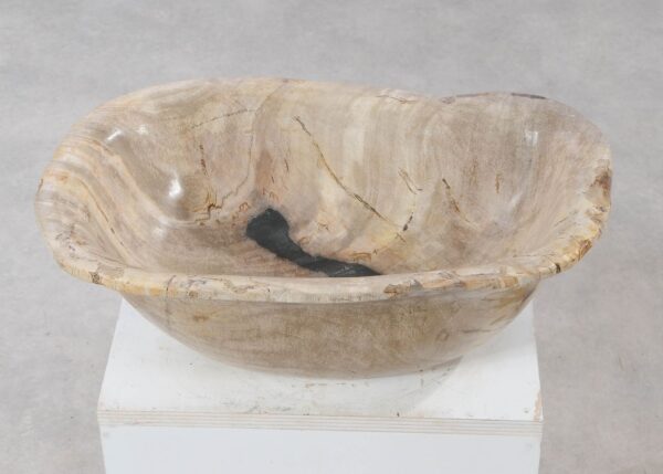 Bowl petrified wood 54282