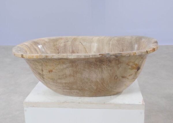 Bowl petrified wood 54282