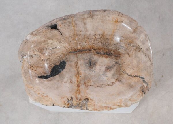 Bowl petrified wood 54283