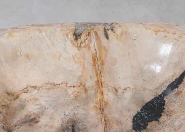 Bowl petrified wood 54283