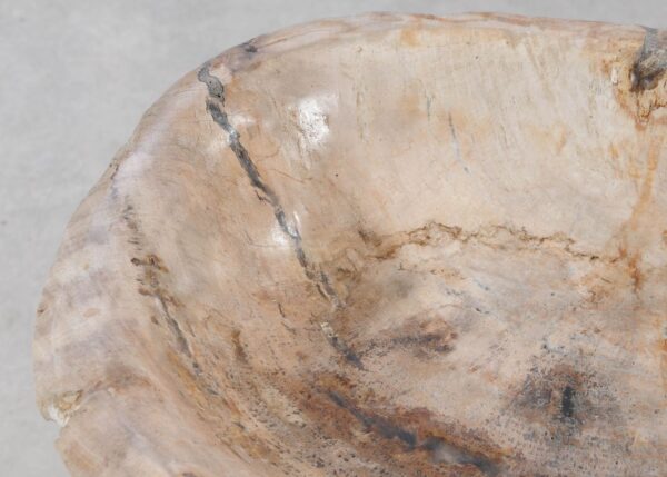 Bowl petrified wood 54283