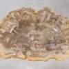 Bol madera petrificada 54010