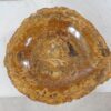 Bol madera petrificada 54014