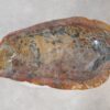 Bol madera petrificada 54031