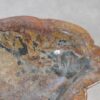 Bol madera petrificada 54031