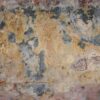 Bol madera petrificada 54031