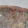 Bol madera petrificada 54031