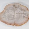 Plato madera petrificada 54055