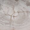 Plato madera petrificada 54055