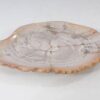 Plato madera petrificada 54055