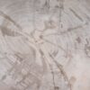 Plato madera petrificada 54057