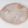 Plato madera petrificada 54058