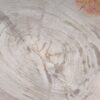 Plato madera petrificada 54058
