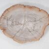 Plato madera petrificada 54060
