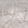 Plato madera petrificada 54060