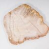 Plato madera petrificada 54066