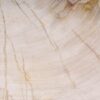 Plato madera petrificada 54066