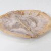 Plato madera petrificada 54070
