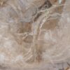 Plato madera petrificada 54077