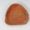 Plato madera petrificada 54088