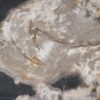 Plato madera petrificada 54141