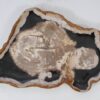 Plato madera petrificada 54145