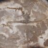 Plato madera petrificada 54145