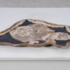 Plato madera petrificada 54145