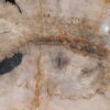 Bol madera petrificada 54283
