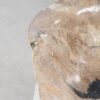 Bol madera petrificada 54283