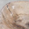 Bol madera petrificada 54283