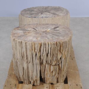 Side table petrified wood 52005