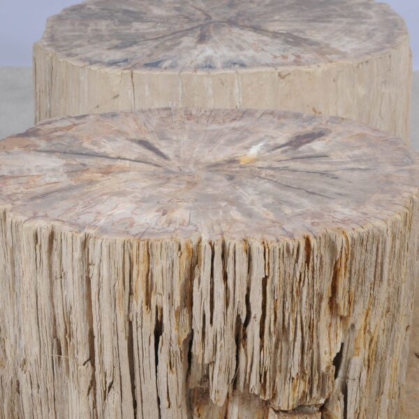 Side table petrified wood 52005