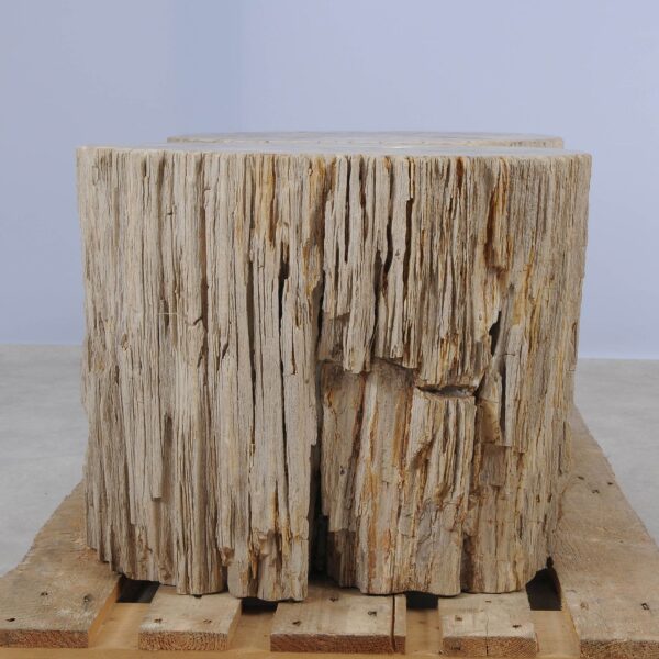 Side table petrified wood 52005