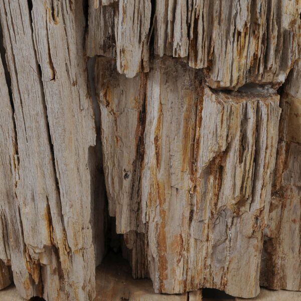 Side table petrified wood 52005