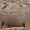 Side table petrified wood 52005