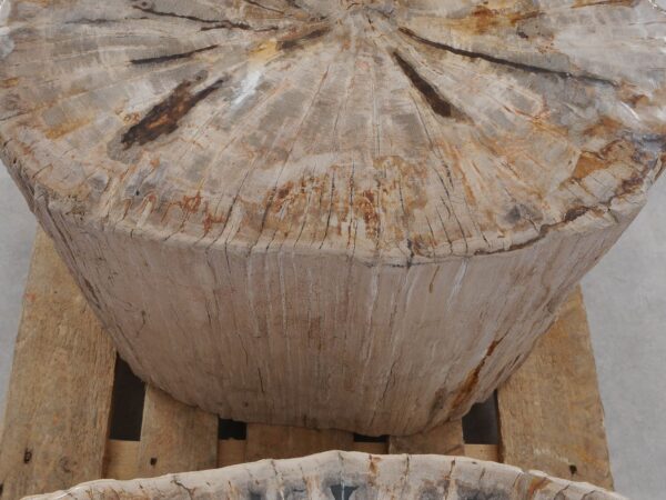 Side table petrified wood 52005