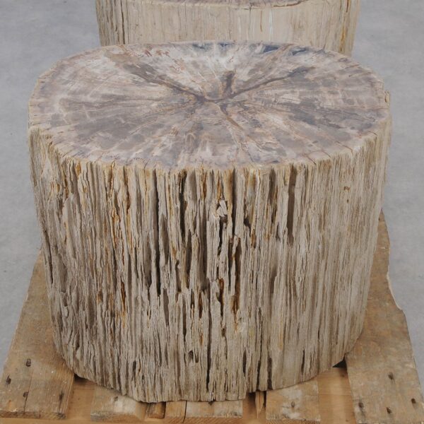 Side table petrified wood 52006