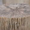 Side table petrified wood 52006