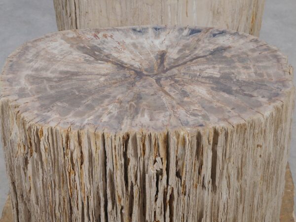 Side table petrified wood 52006