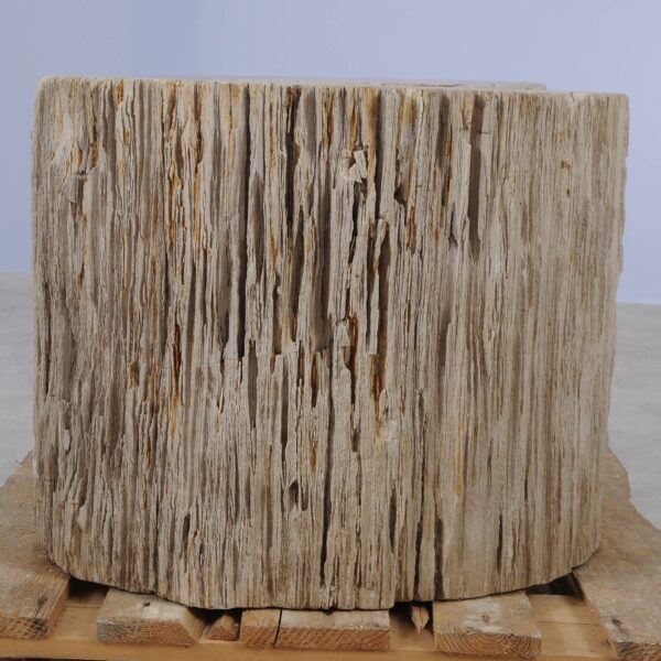 Side table petrified wood 52006